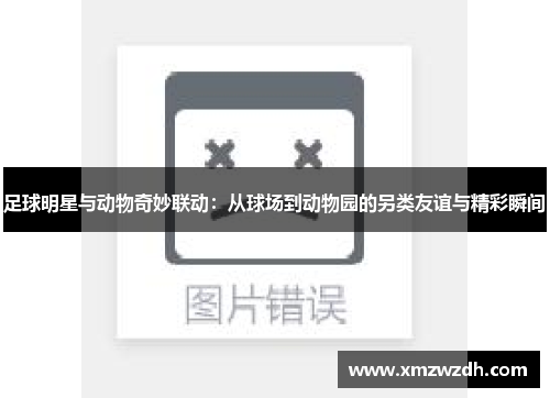 足球明星与动物奇妙联动：从球场到动物园的另类友谊与精彩瞬间