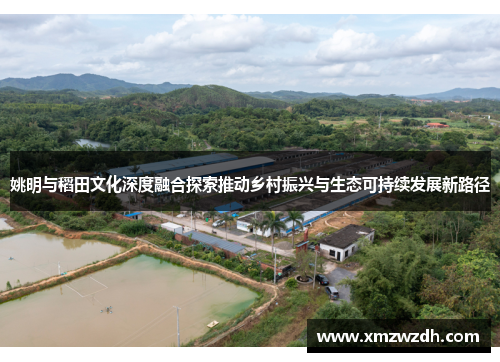 姚明与稻田文化深度融合探索推动乡村振兴与生态可持续发展新路径