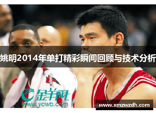 姚明2014年单打精彩瞬间回顾与技术分析