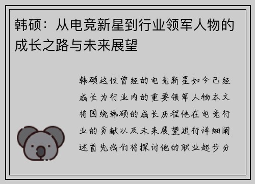 韩硕：从电竞新星到行业领军人物的成长之路与未来展望