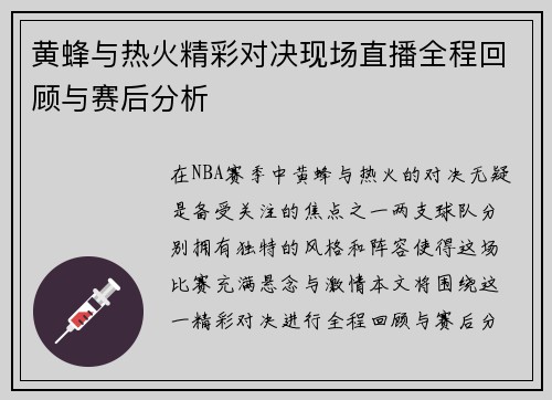 黄蜂与热火精彩对决现场直播全程回顾与赛后分析
